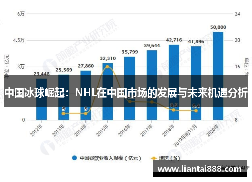 中国冰球崛起：NHL在中国市场的发展与未来机遇分析